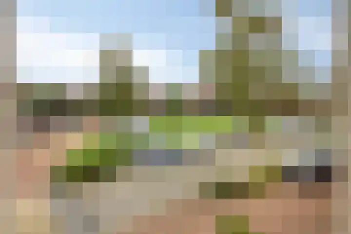 Schoorlaan 28 Heerhugowaard thumbnail 39