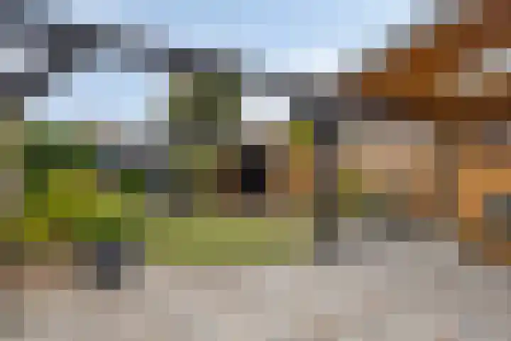 Schoorlaan 28 Heerhugowaard thumbnail 42