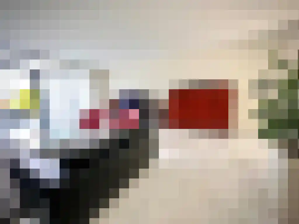 Schoorlaan 45 Leidschendam thumbnail 4
