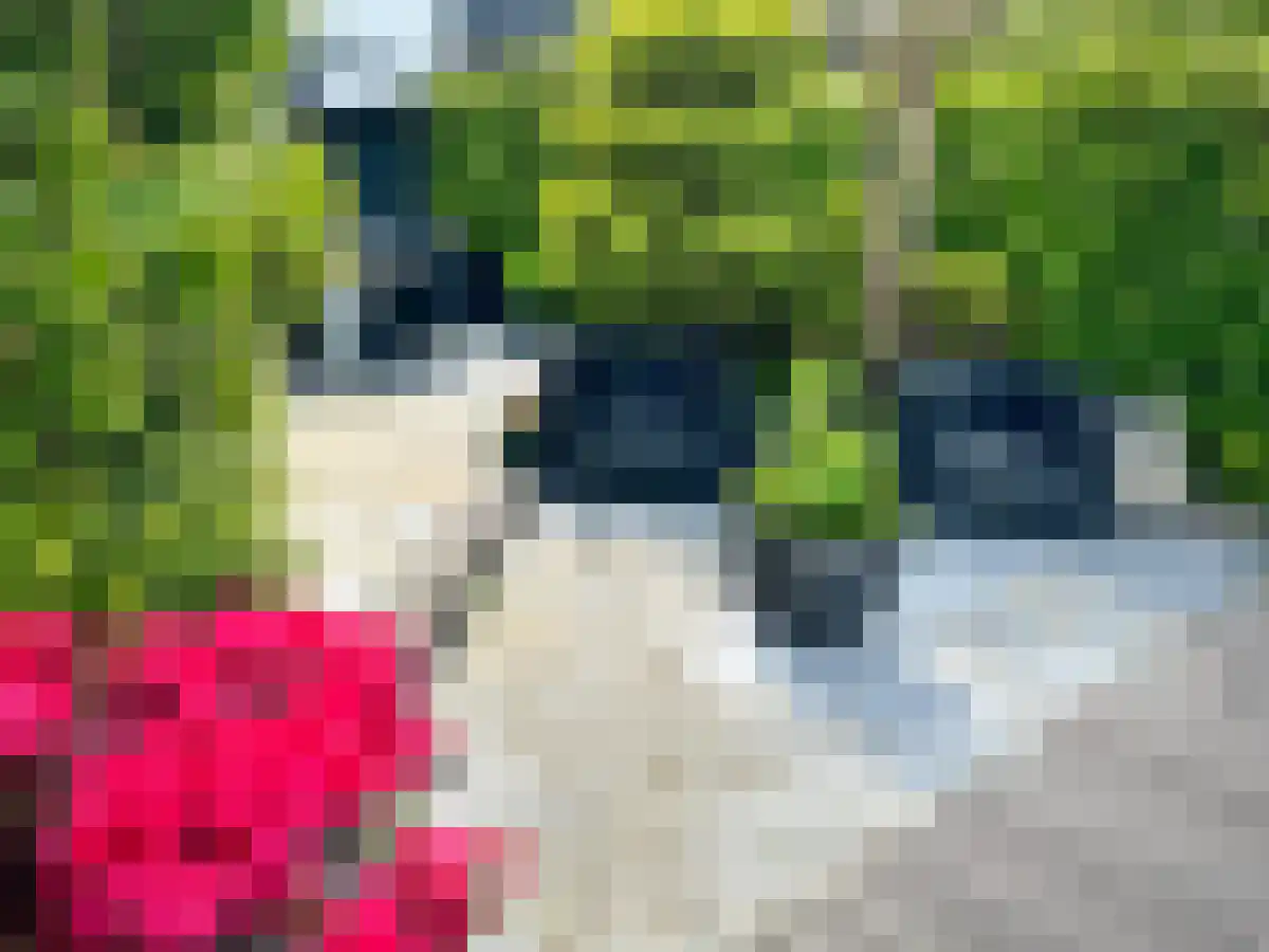 Schoorlaan 45 Leidschendam thumbnail 5