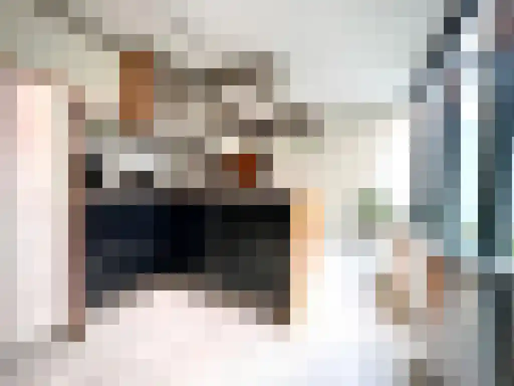 Schoorlaan 45 Leidschendam thumbnail 6