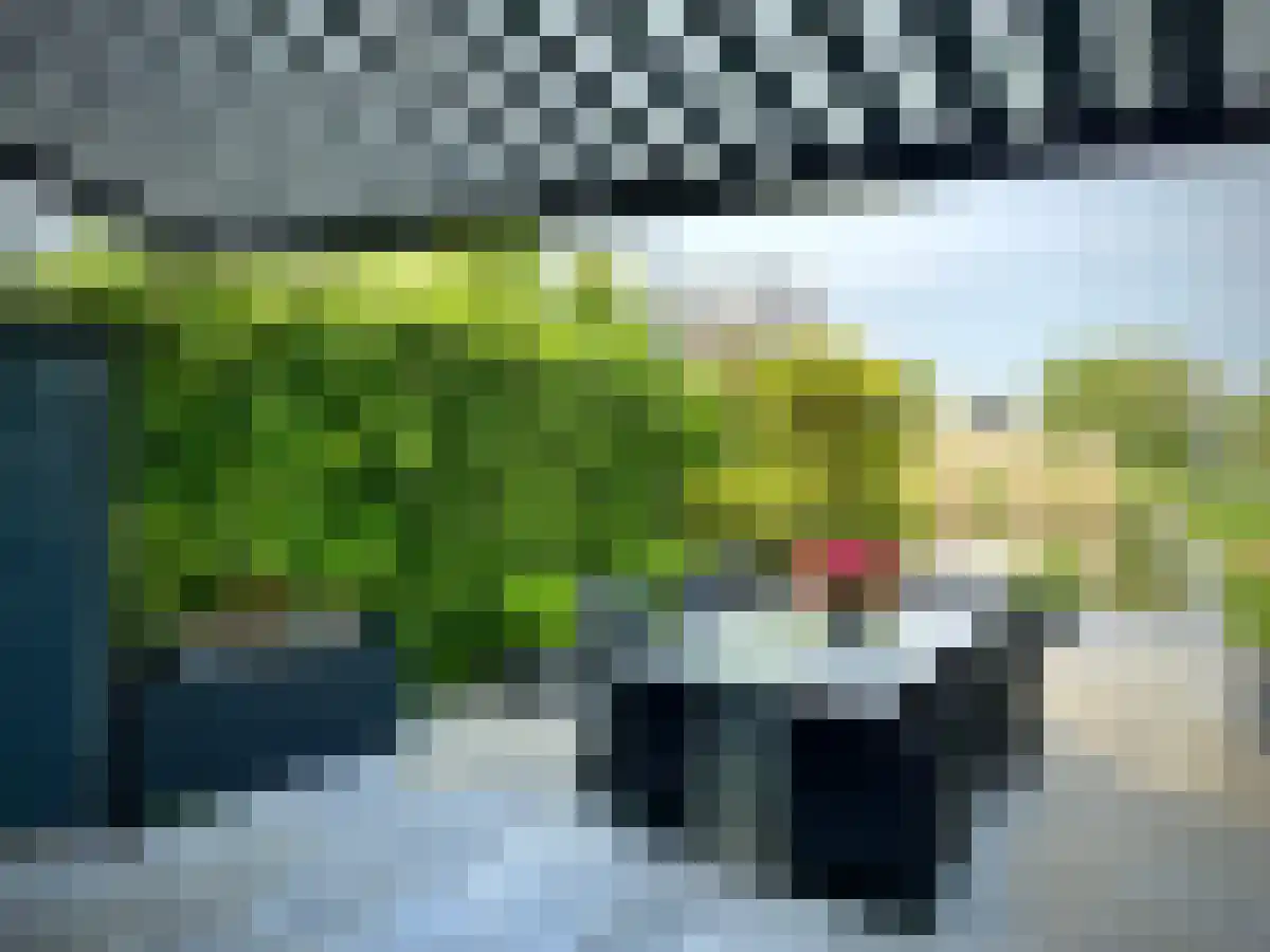 Schoorlaan 45 Leidschendam thumbnail 6