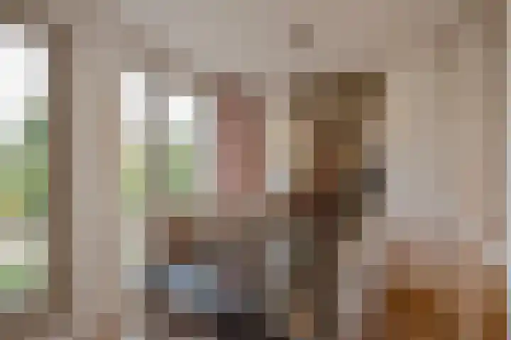 Schoorlaan 60 Leidschendam thumbnail 17