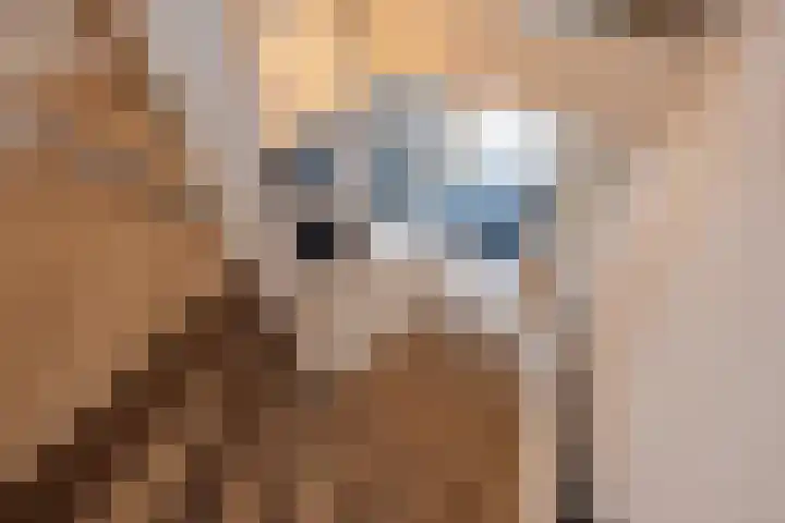 Schoorlaan 60 Leidschendam thumbnail 31