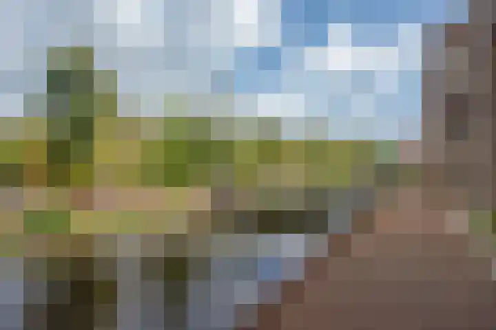 Schoorlaan 60 Leidschendam thumbnail 33