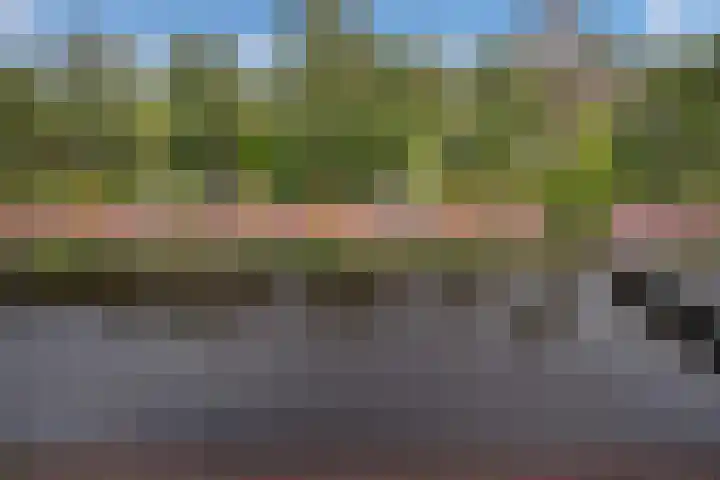 Schoorlaan 60 Leidschendam thumbnail 34