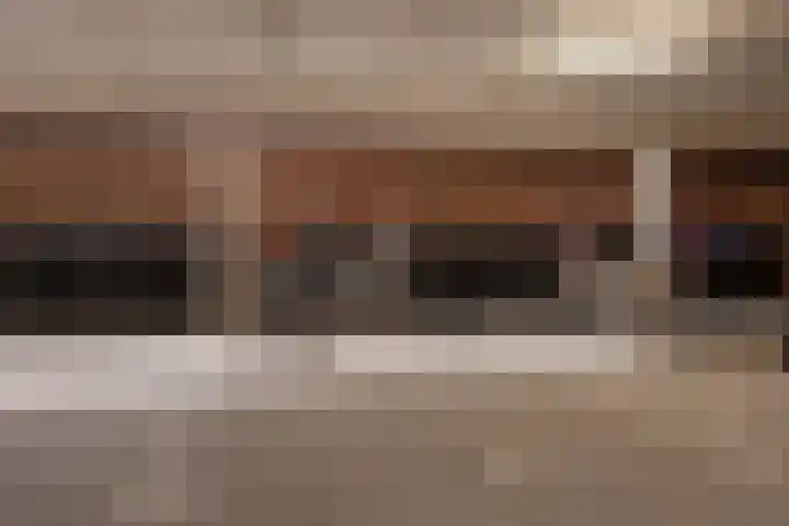 Schoorlaan 60 Leidschendam thumbnail 35