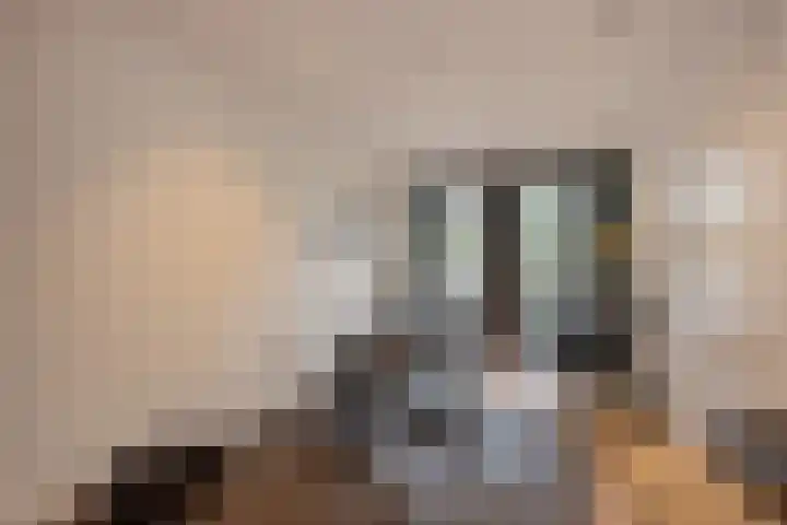 Schoorlaan 60 Leidschendam thumbnail 6
