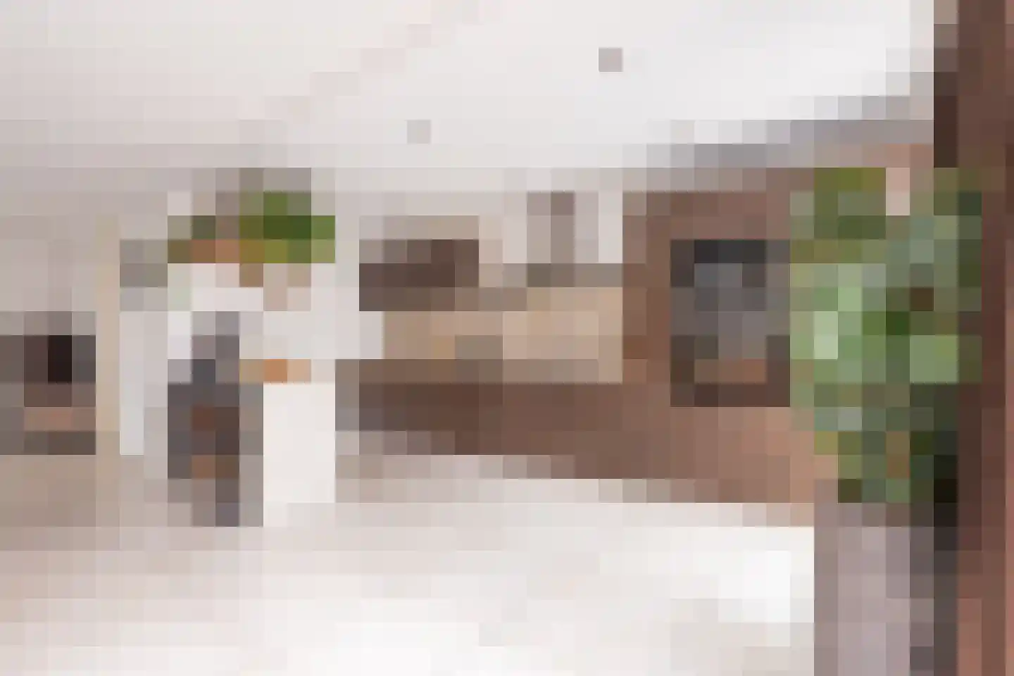 Schoorlaan 8 Heerhugowaard thumbnail 10