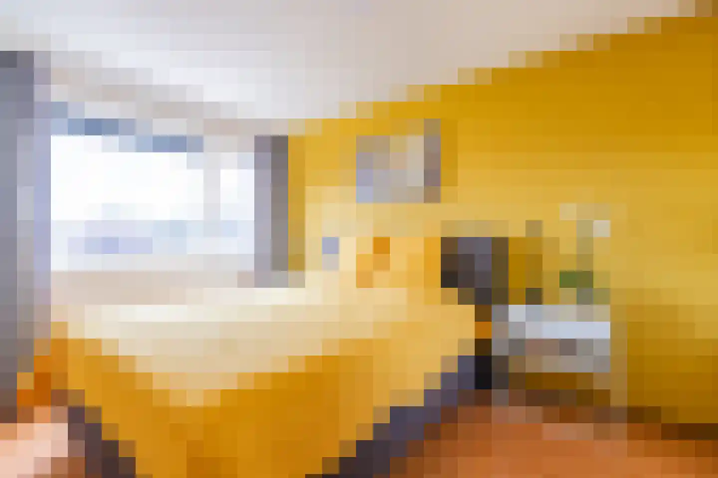 Schoorlaan 8 Heerhugowaard thumbnail 14