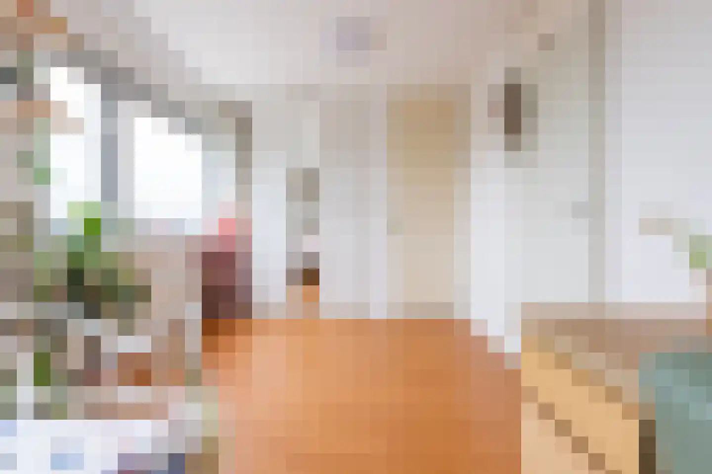 Schoorlaan 8 Heerhugowaard thumbnail 30