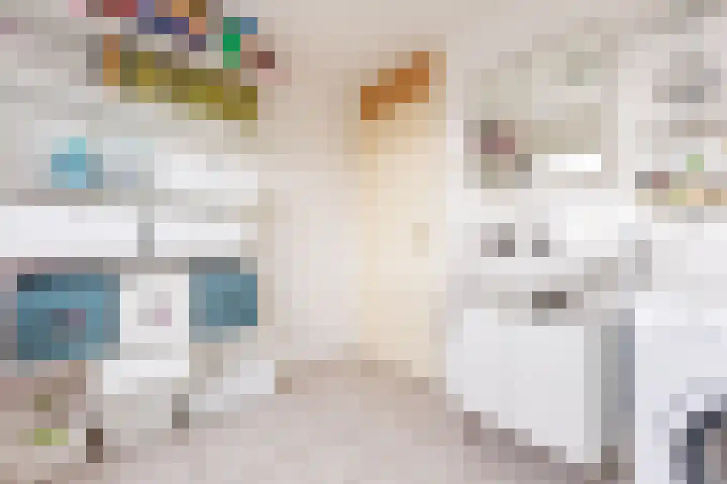 Schoorlaan 8 Heerhugowaard thumbnail 32