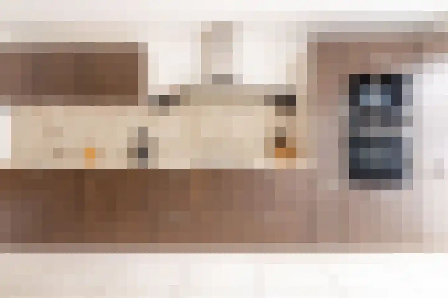 Schoorlaan 8 Heerhugowaard thumbnail 9