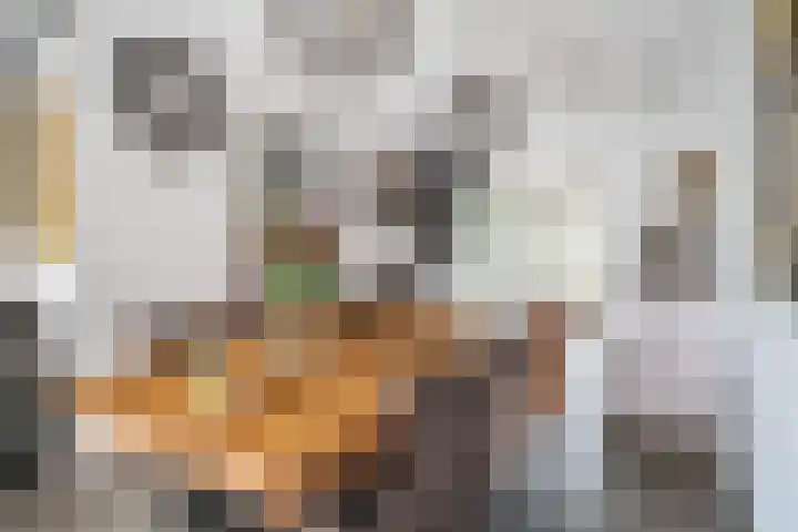 Schoorlaan 82 Leidschendam thumbnail 13