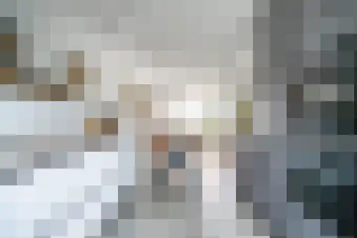 Schoorlaan 82 Leidschendam thumbnail 18