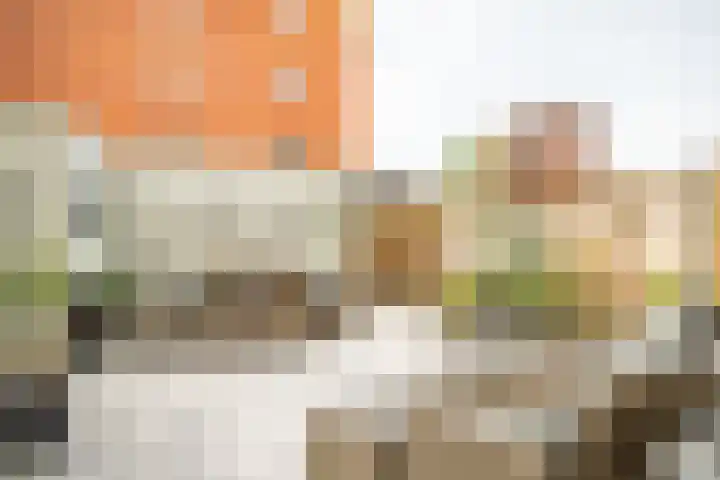 Schoorlaan 82 Leidschendam thumbnail 22