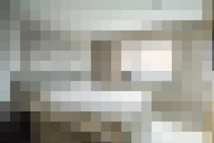 Schoorlaan 82 Leidschendam thumbnail 35