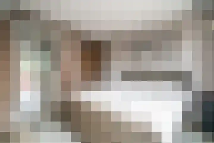 Schoorlaan 82 Leidschendam thumbnail 36