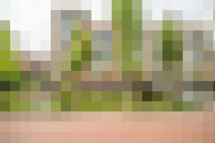 Schoorlaan 82 Leidschendam thumbnail 4