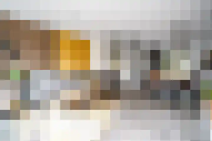 Schoorlaan 82 Leidschendam thumbnail 5