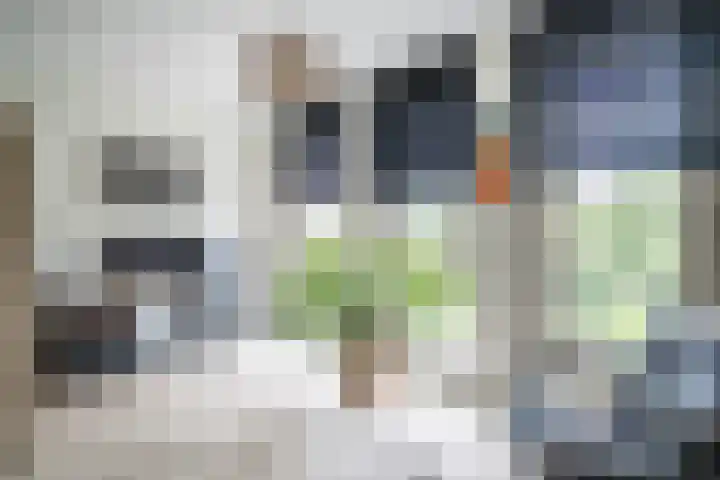 Schoorlaan 82 Leidschendam thumbnail 51