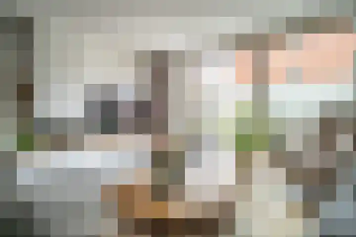 Schoorlaan 82 Leidschendam thumbnail 6