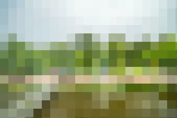 Schoorlaan 82 Leidschendam thumbnail 62