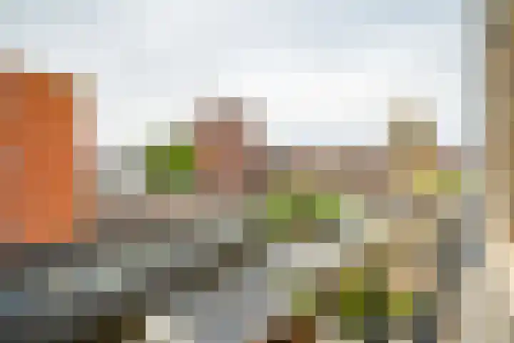 Schoorlaan 82 Leidschendam thumbnail 63