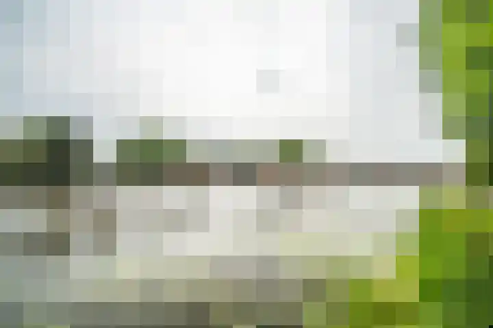 Schoorlaan 82 Leidschendam thumbnail 65