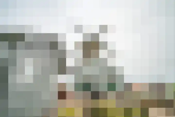Schoorlaan 82 Leidschendam thumbnail 66