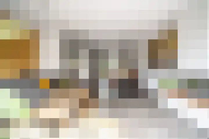 Schoorlaan 82 Leidschendam thumbnail 7