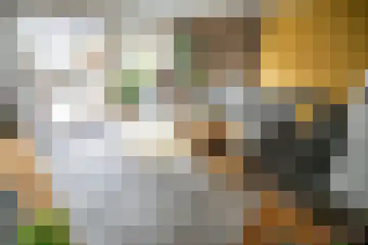 Schoorlaan 82 Leidschendam thumbnail 9