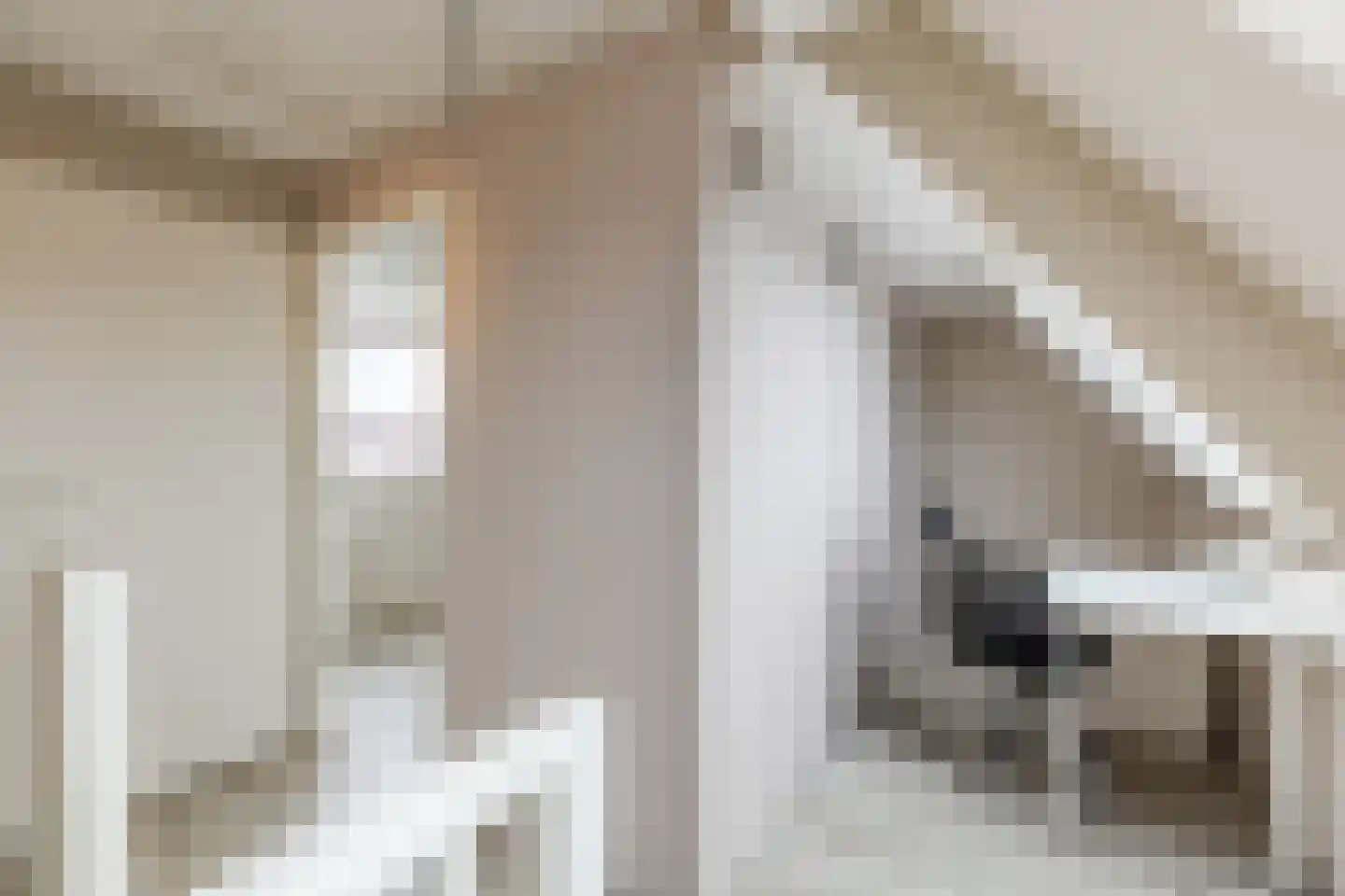Schoorldamstraat 18 Zaandam thumbnail 36