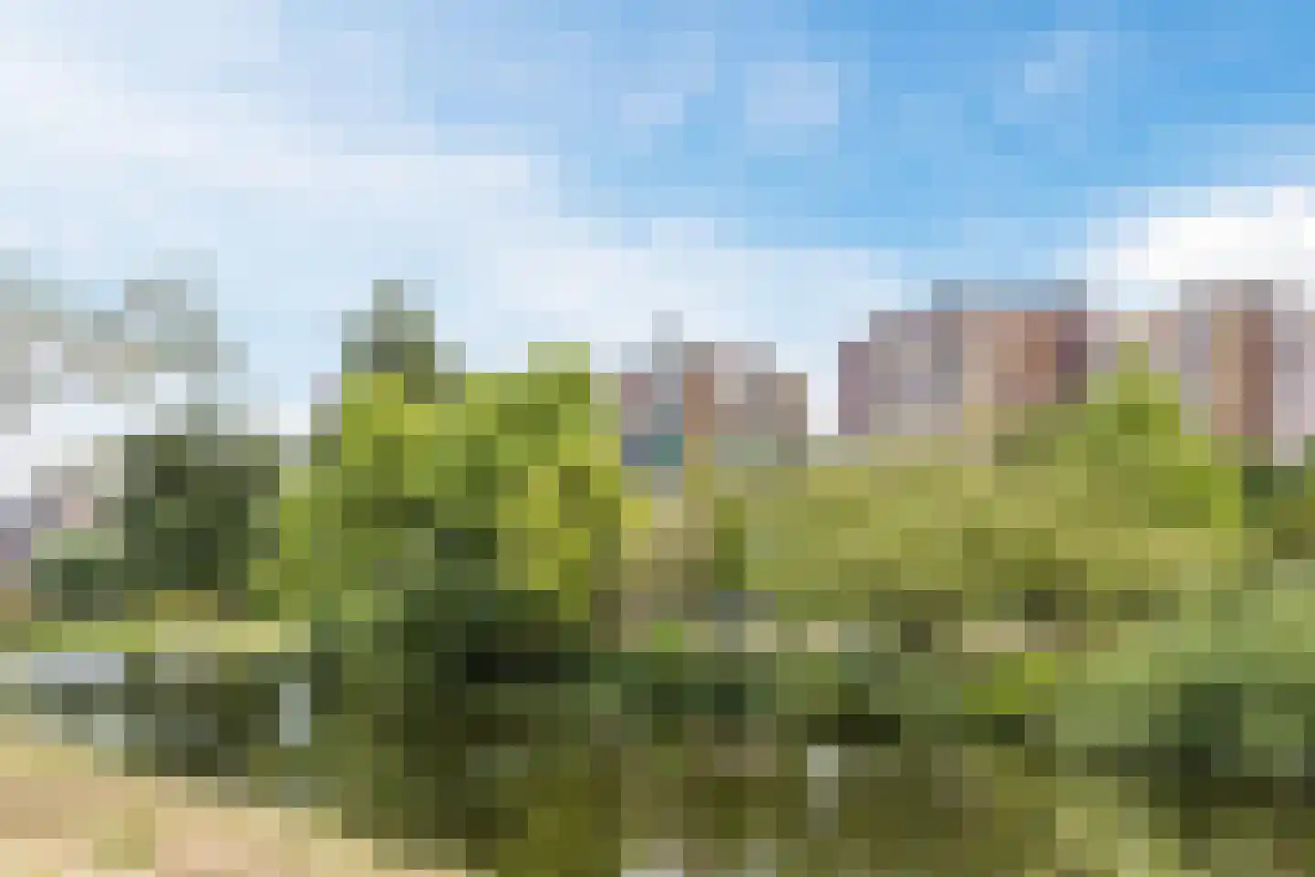 Schoorldamstraat 18 Zaandam thumbnail 51