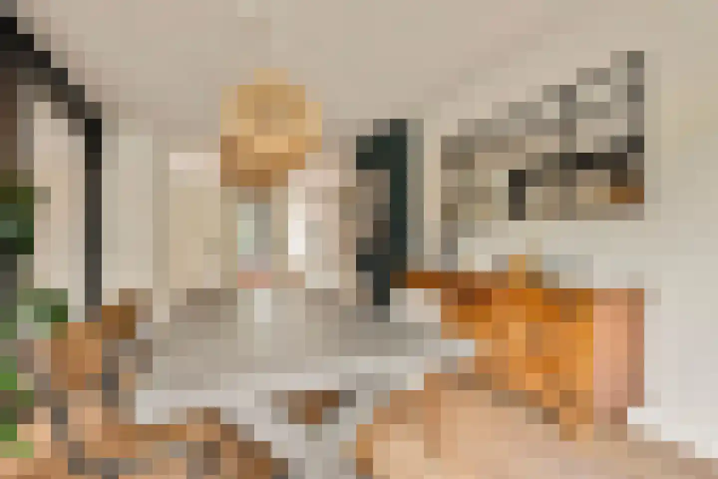 Schoorlstraat 16 Amsterdam thumbnail 12