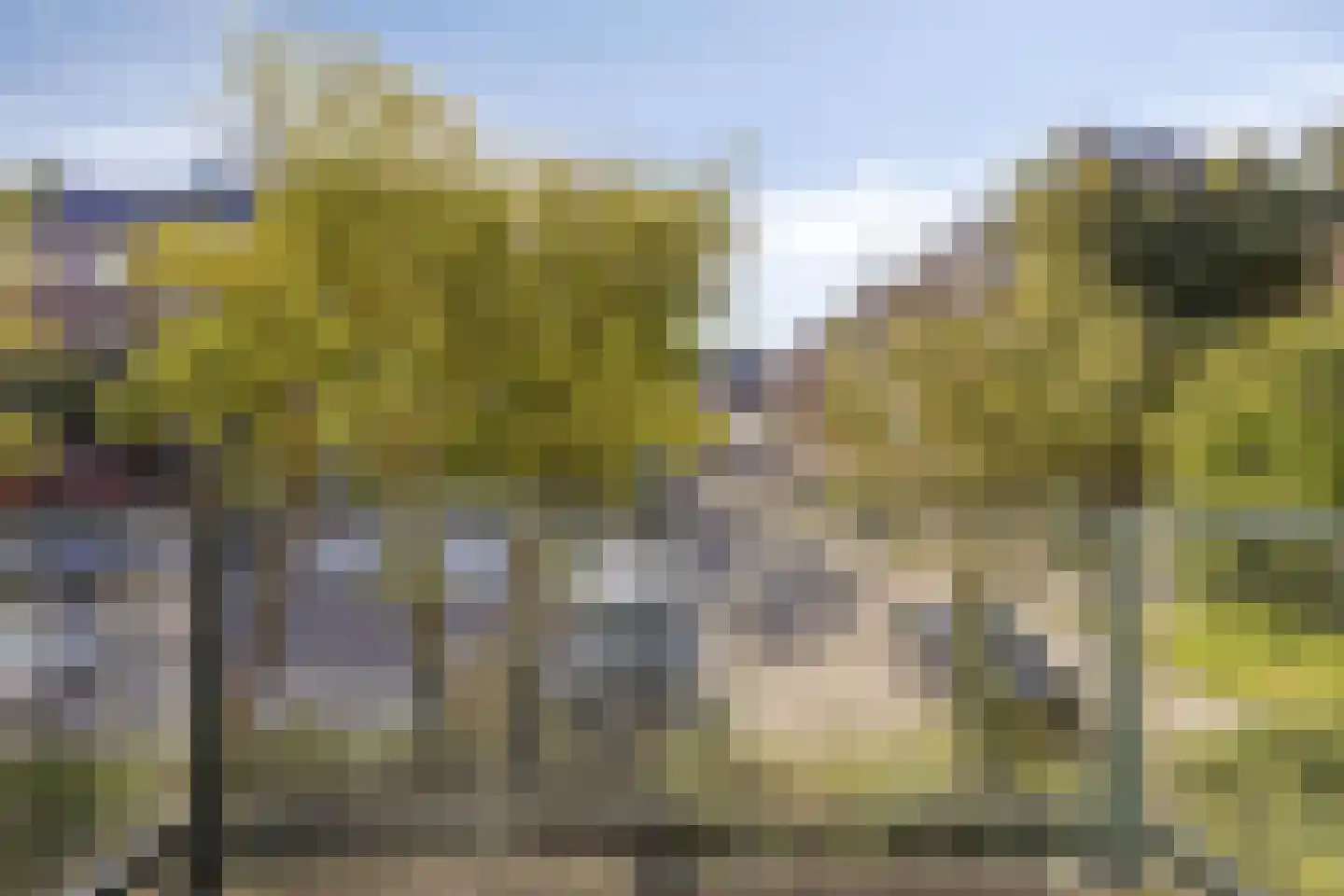 Schoorlstraat 19 Amsterdam thumbnail 7