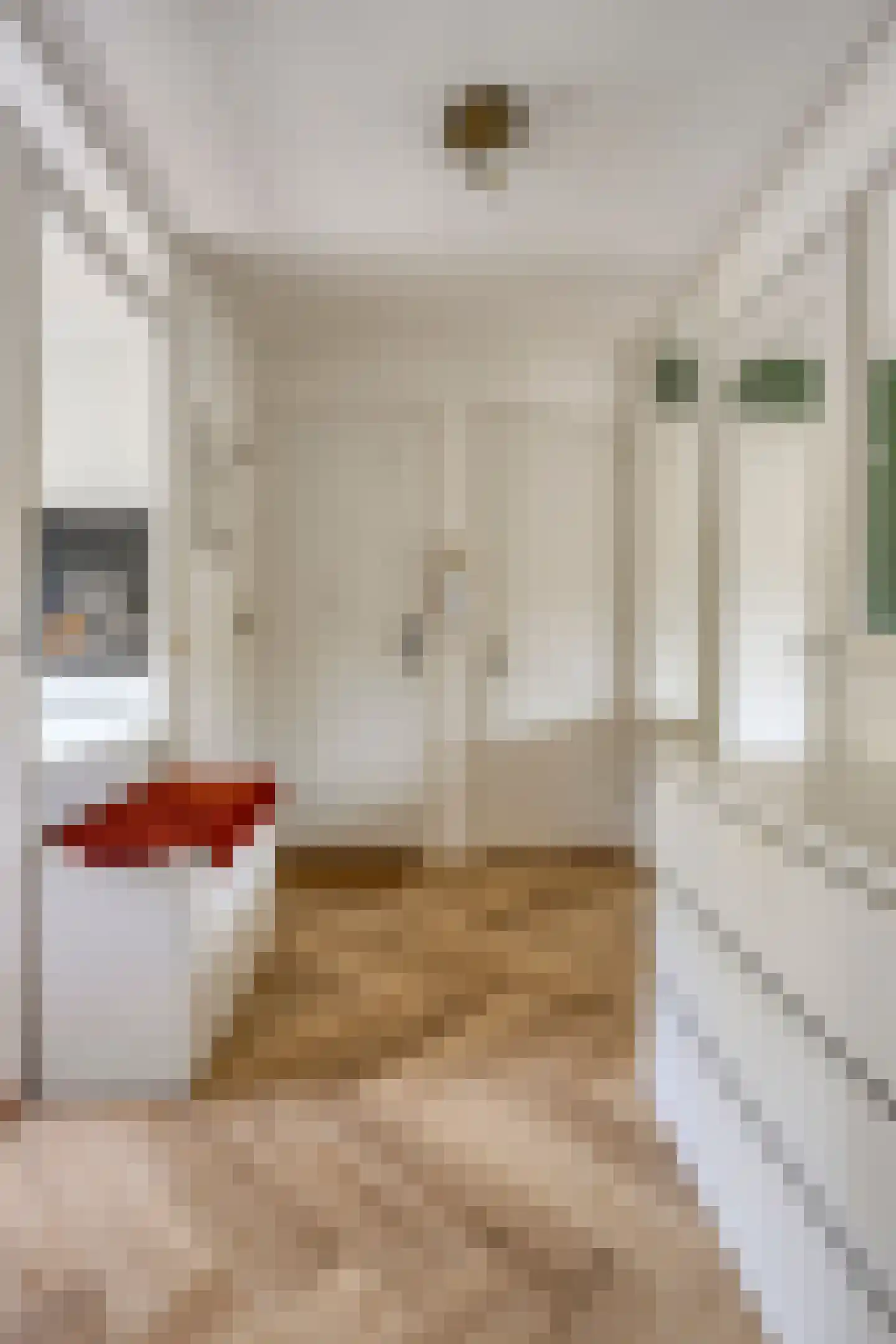 Schoorlstraat 212 Amsterdam thumbnail 21