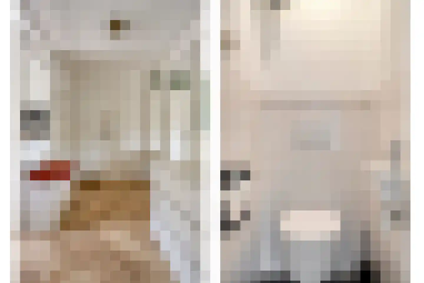 Schoorlstraat 212 Amsterdam thumbnail 31
