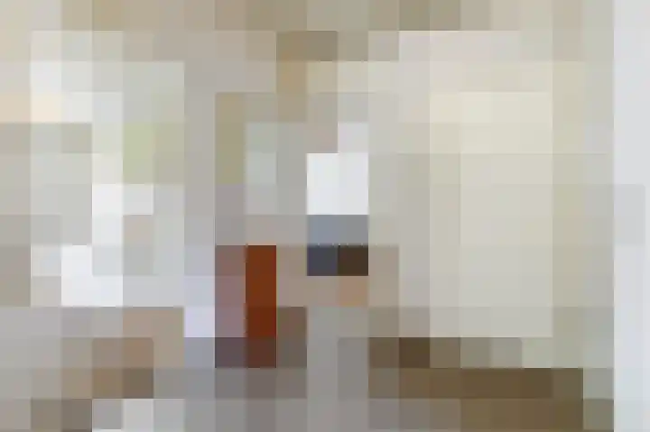 Schoorlstraat 25 Amsterdam thumbnail 7