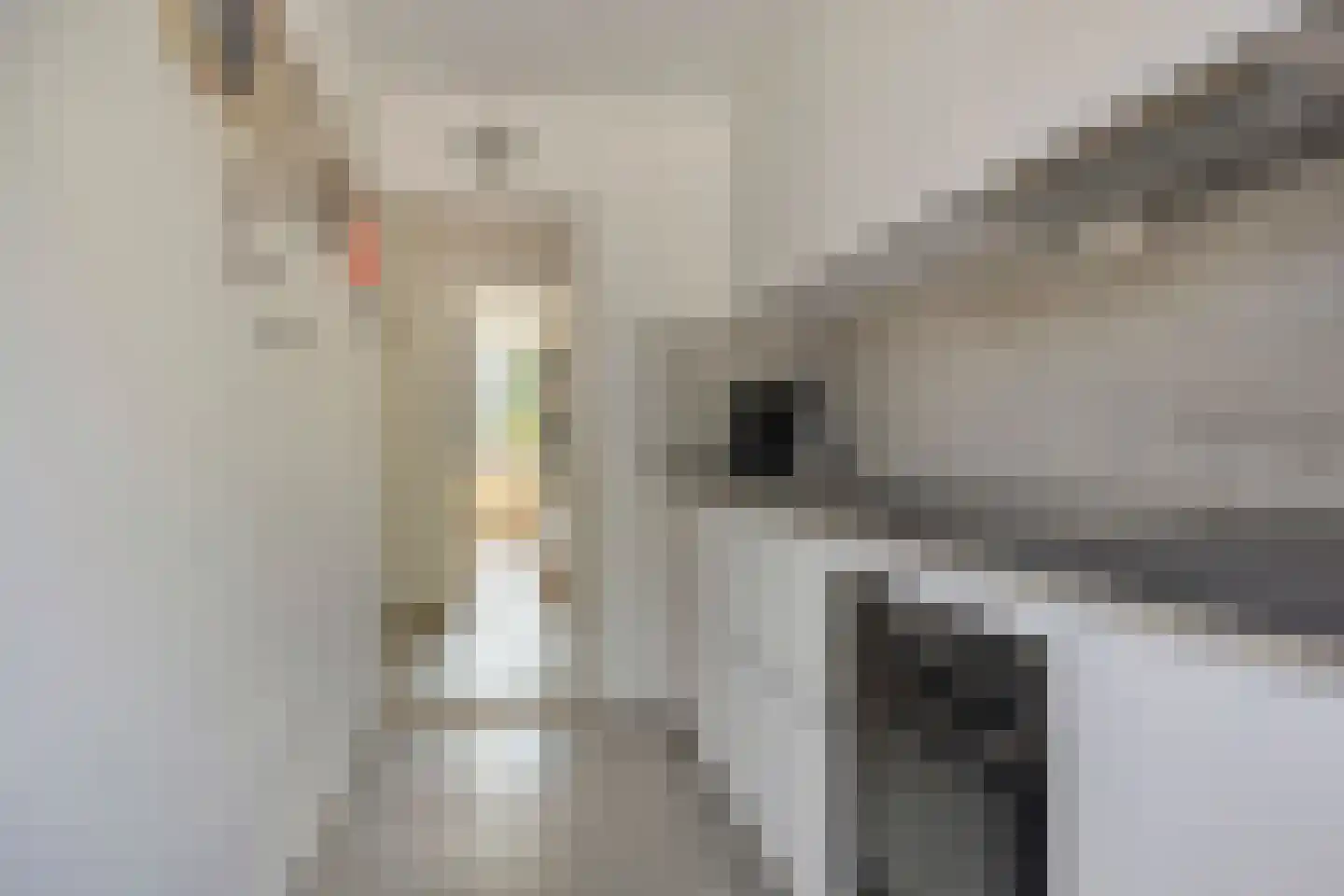 Schoorlstraat 37 Amsterdam thumbnail 15