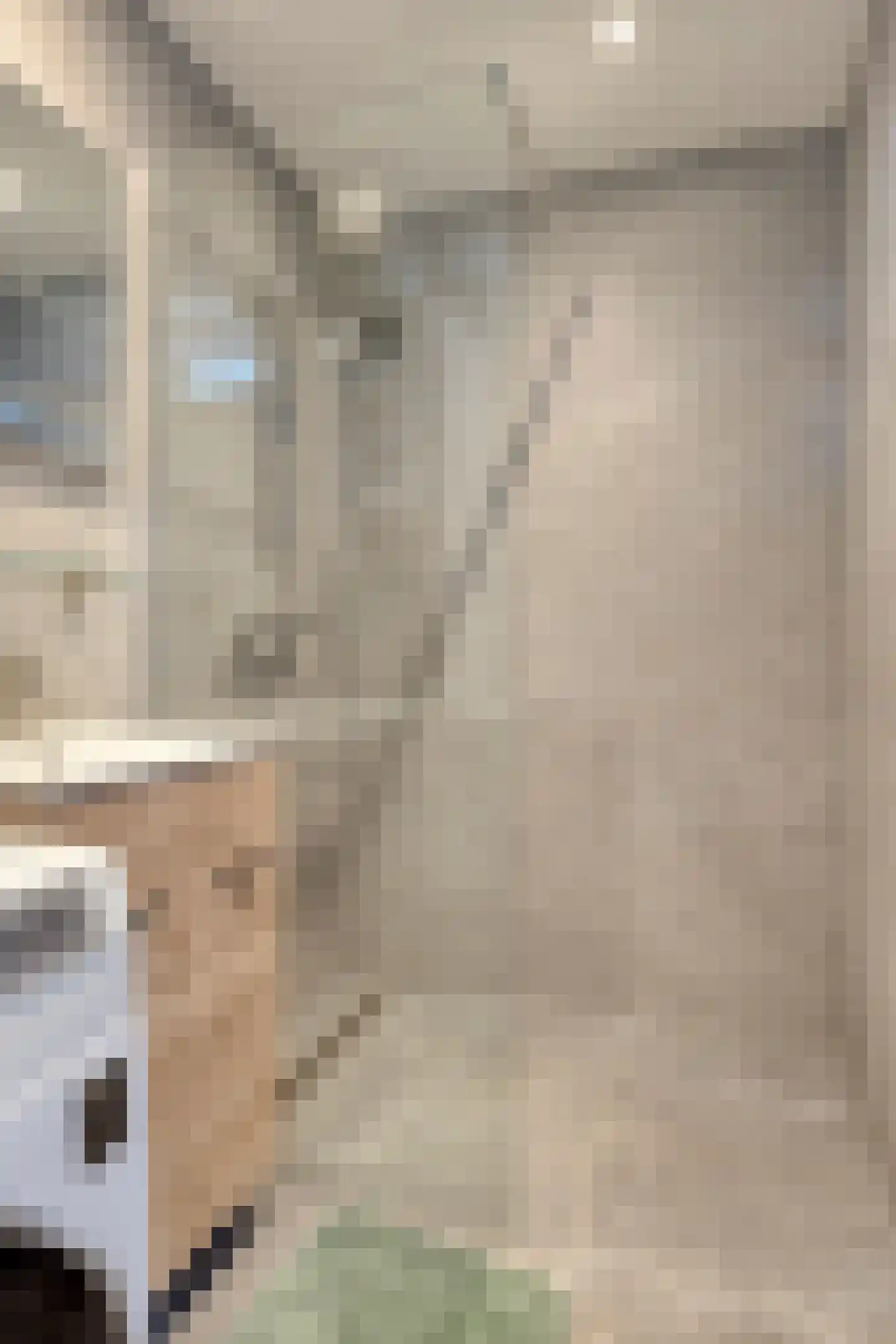 Schoorlstraat 37 Amsterdam thumbnail 23
