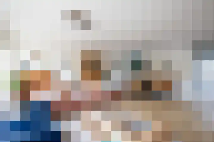 Schoorsteen 12 Aalsmeer thumbnail 11