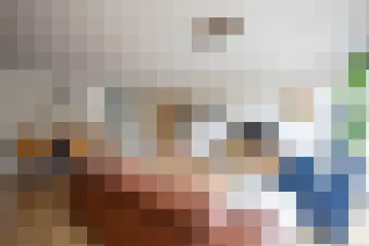 Schoorsteen 12 Aalsmeer thumbnail 12