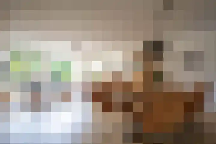 Schoorsteen 12 Aalsmeer thumbnail 13