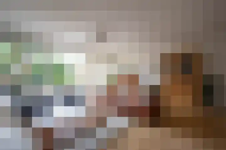 Schoorsteen 12 Aalsmeer thumbnail 14