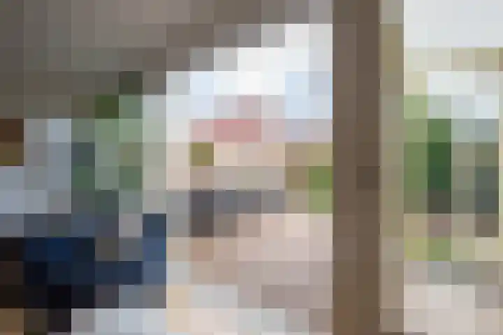 Schoorsteen 12 Aalsmeer thumbnail 15