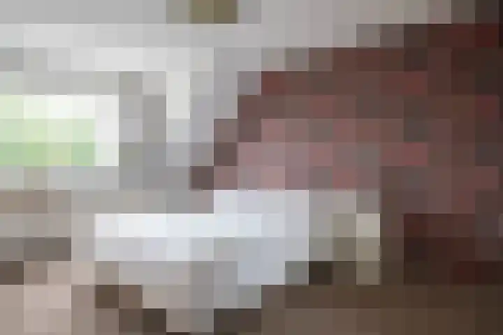 Schoorsteen 12 Aalsmeer thumbnail 19