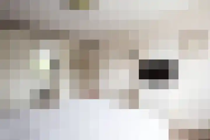 Schoorsteen 12 Aalsmeer thumbnail 21