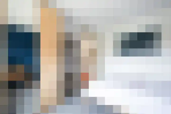 Schoorsteen 12 Aalsmeer thumbnail 23