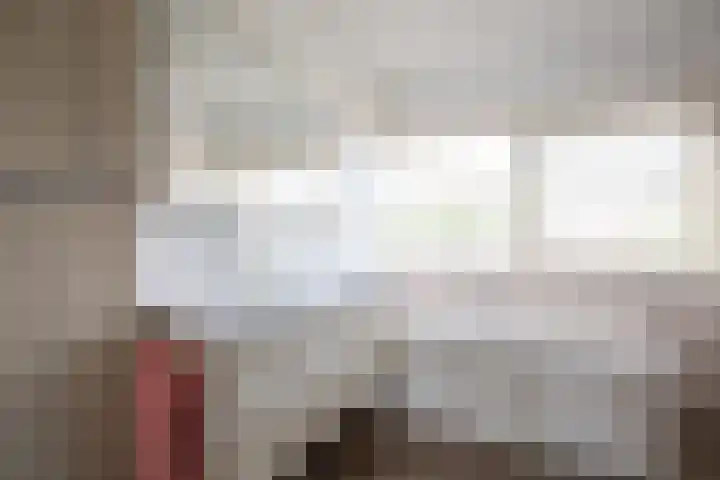 Schoorsteen 12 Aalsmeer thumbnail 26